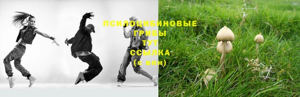 MDMA Premium VHQ Богородицк