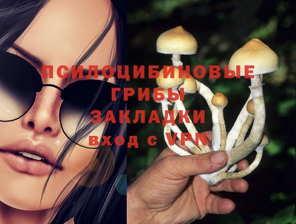 каннабис Бородино