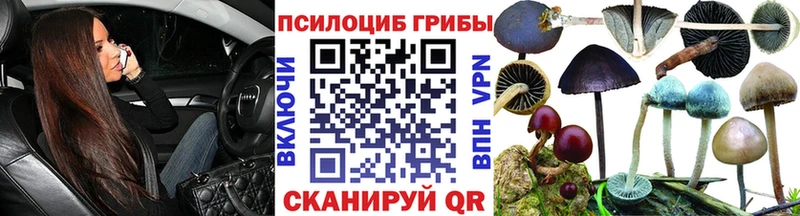 Галлюциногенные грибы GOLDEN TEACHER  где купить   Зарайск 
